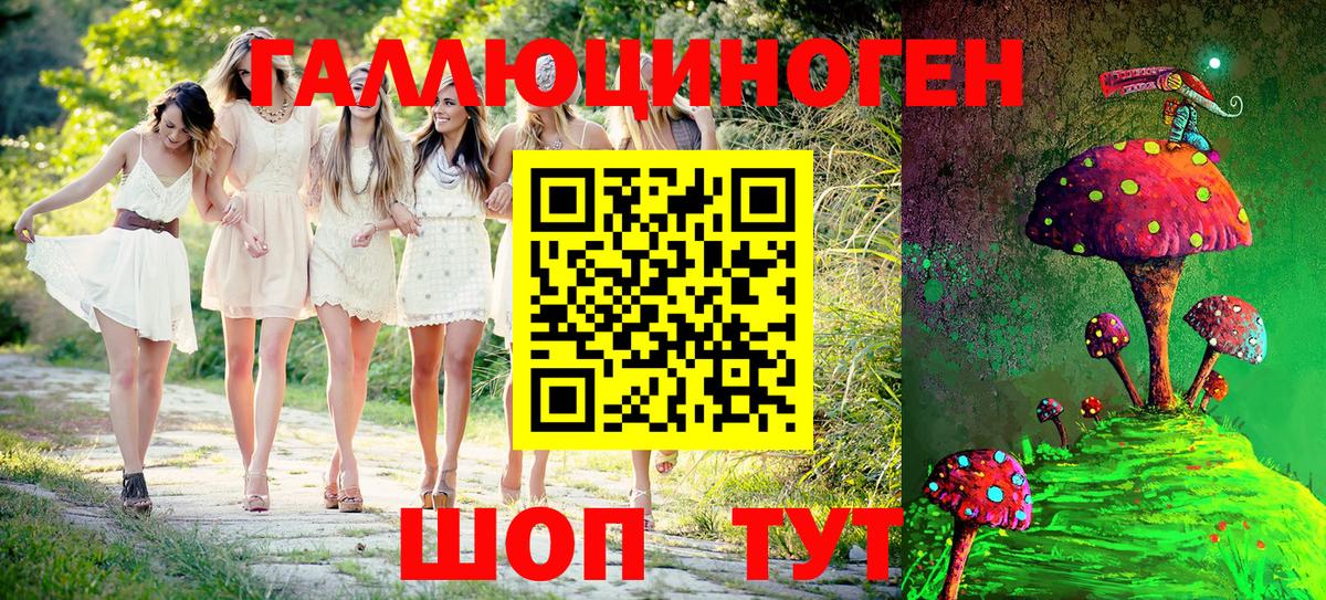 Бийск  Псилоцибиновые грибы GOLDEN TEACHER  Вход с VPN 