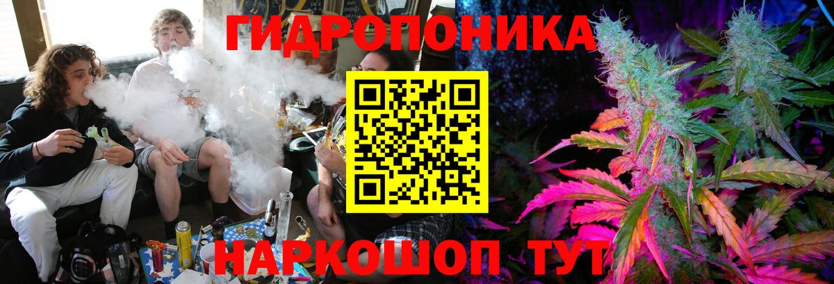 Бошки Шишки THC 21% Бийск